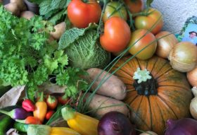 a colourful display of vegetables on a table